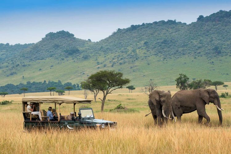 3 Days Group Joining Masai Mara Mashujaa Safari Package