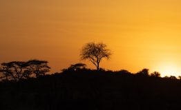 sunrise-g58d734161_1920 sunrise-g58d734161_1920