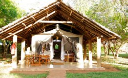 voyager-ziwani-room-ziwani-202 voyager-ziwani-room-ziwani-202